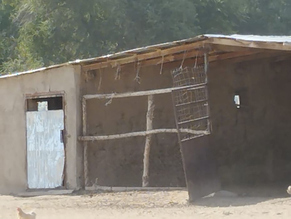 Продается Фазенда