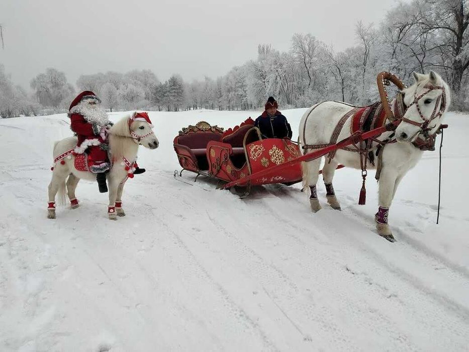 лошадь, конь, трон, сани, карета