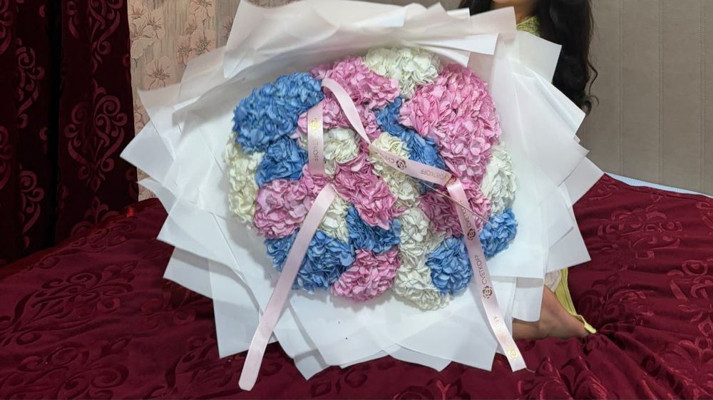 Гортензия 25 шт ,шымкент