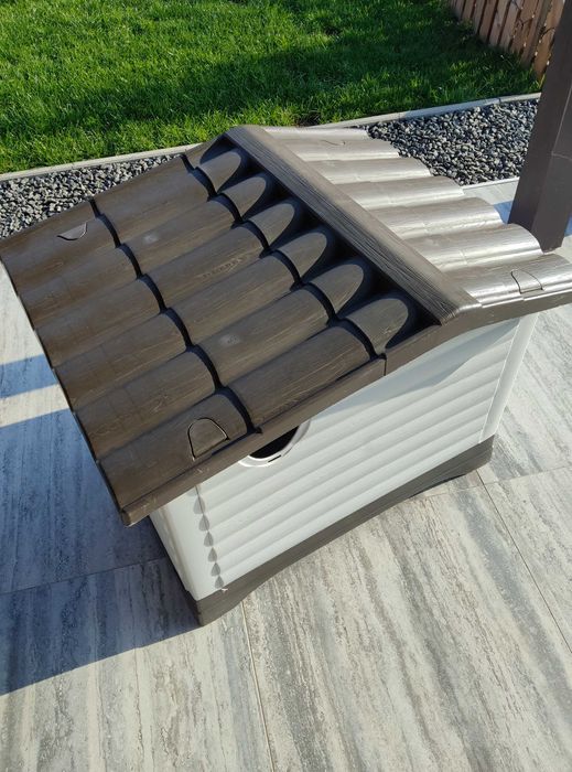 Cusca de Caine ,talie medie