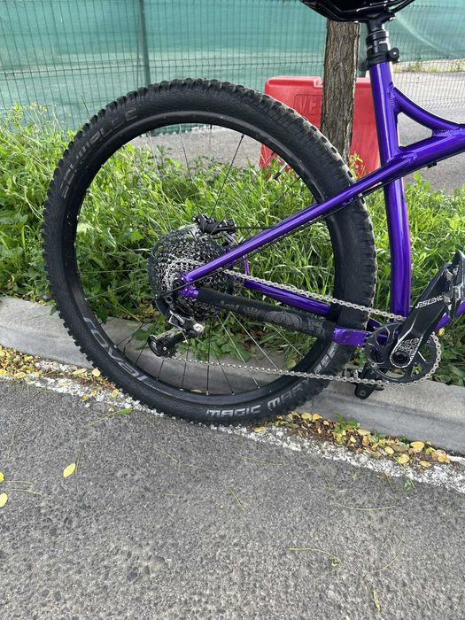 Vand ragley big al marimea XL custom
