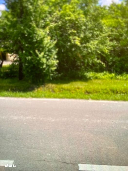 Teren (loc de casa ) 1600 mp Ciolpani ,Piscu (Jud. ILFOV) - Proprietar