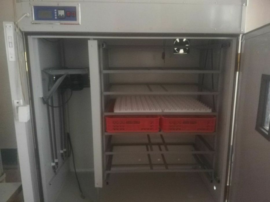 инкубатор inkubator