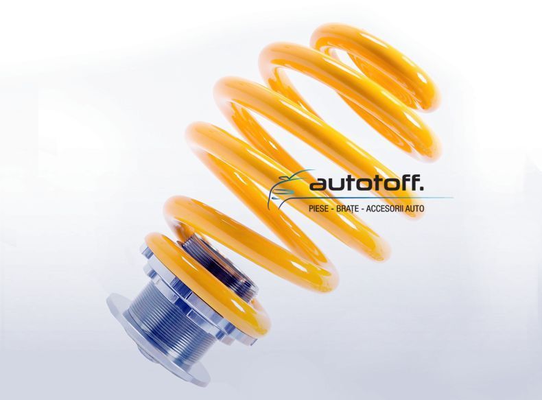 Suspensie sport reglabila Audi A6 4B C5 Passat 3B 3BG Skoda Superb (97-08) FK Germania