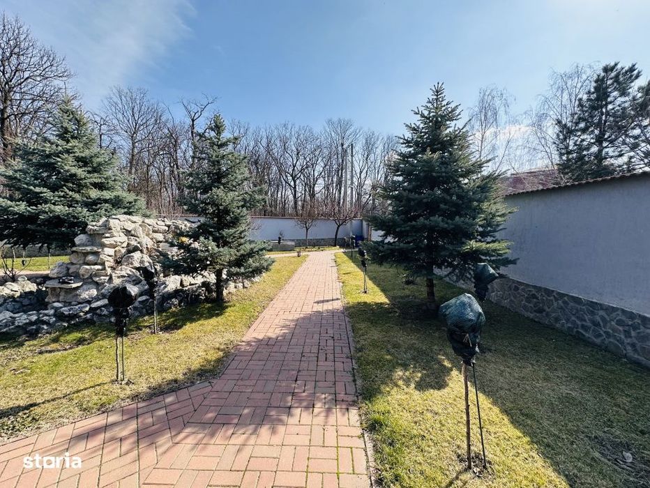 Vila superba, padure Rosu, 1000 mp teren, 310 mp construiti, Chiajna