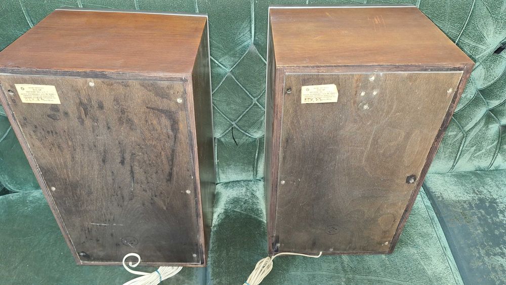 Колонки 25АС-109