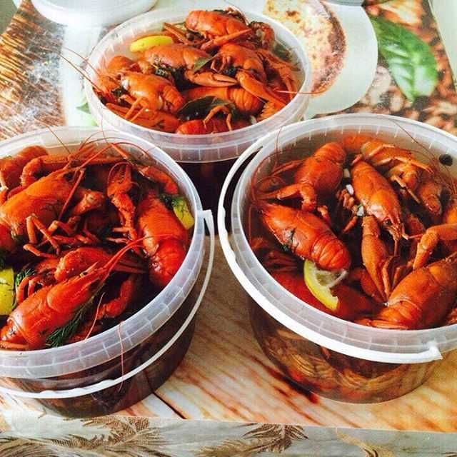 морские Раки ОПТОМ в ведрах