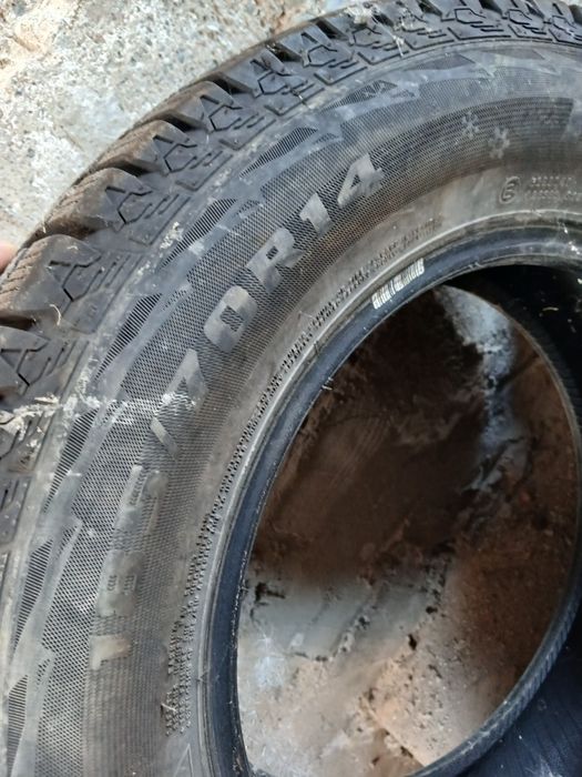 быр қыс журлген жақсы састайанада,