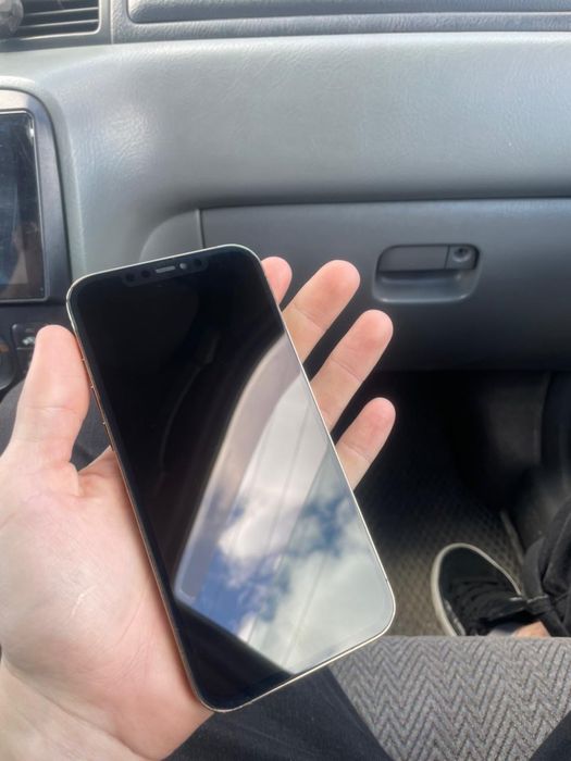 iPhone 12 pro Max  Айфон 12 про макс