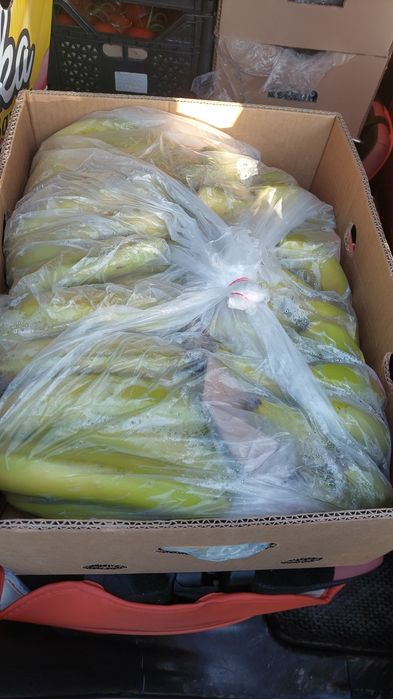 Обыш,Фрутти даставка жасаймыз