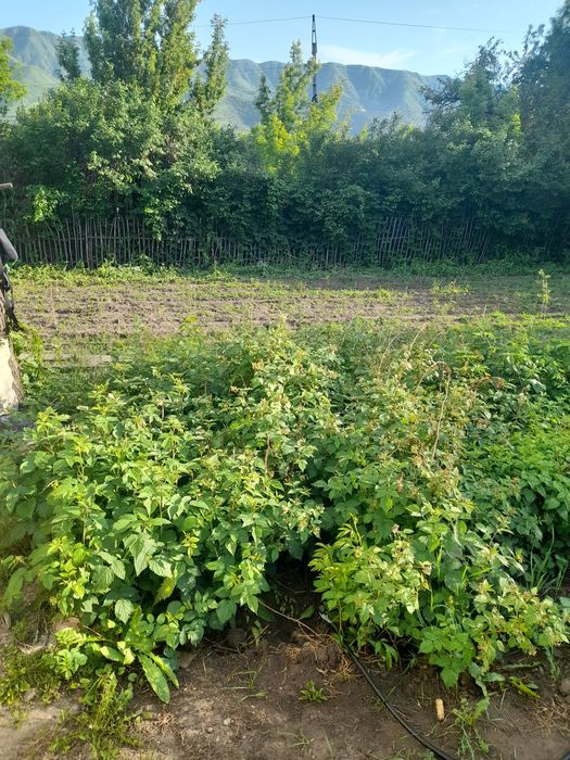 Продам дачу с документами