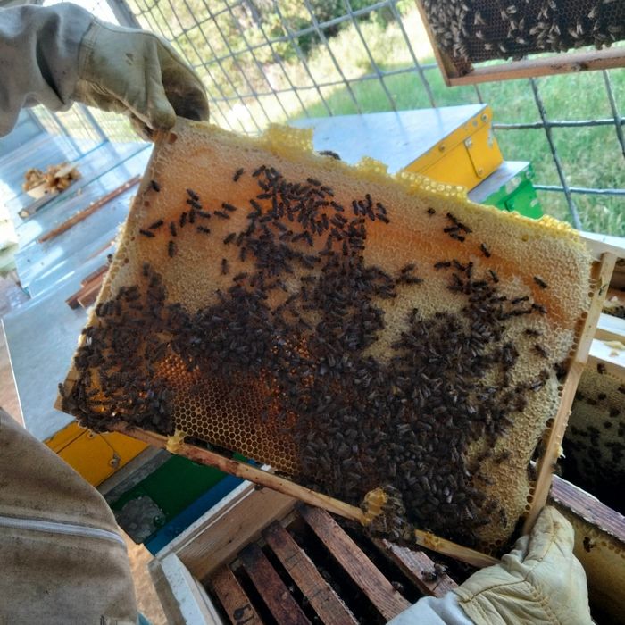 Продам пчелопавильон комплект!