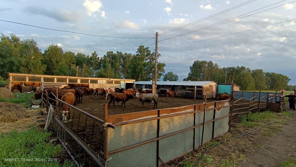 Продается дом с. Рассвет
