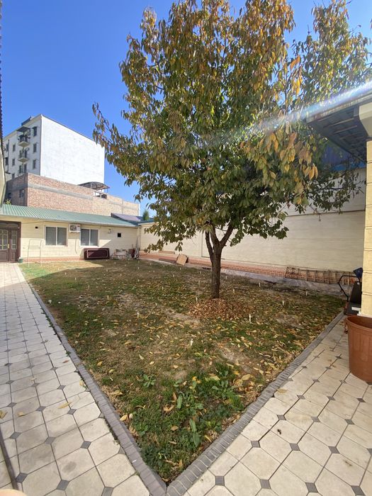 Озимни уйим, Без маклер