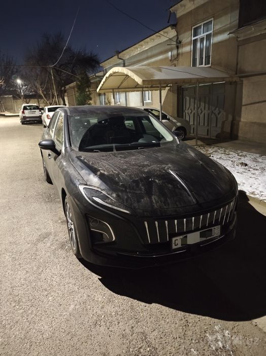 Hongqie E-QM5 450 KM