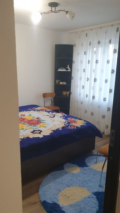 Casă 152mp+2000 mp cu gospodărie comuna Vedea sat Fratici
