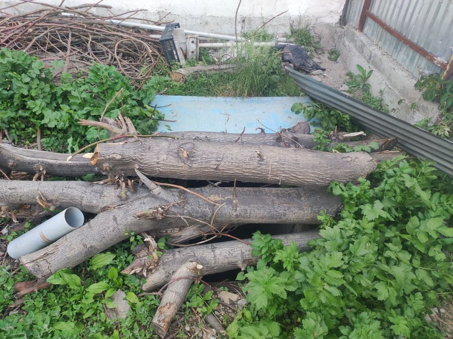 Продам орех,частично спиленый