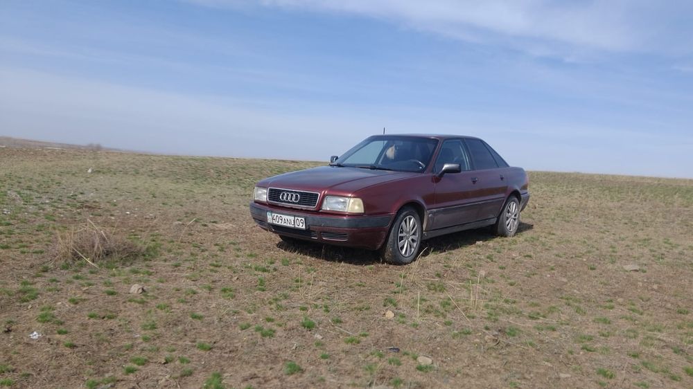 Аудиб 4 инжектор