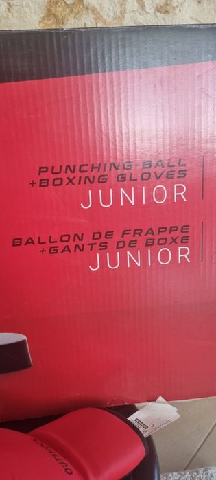 Sac de box si manusi