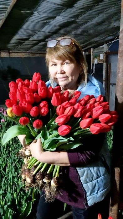 Тюльпаны оптом и в розницу