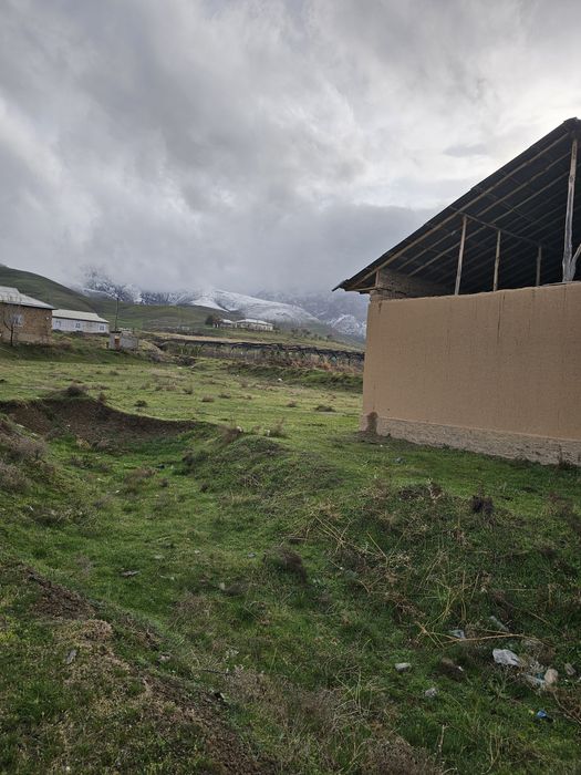 Уй сотилади. Бахмал туман Мугол кишлоги Арпалига киришда