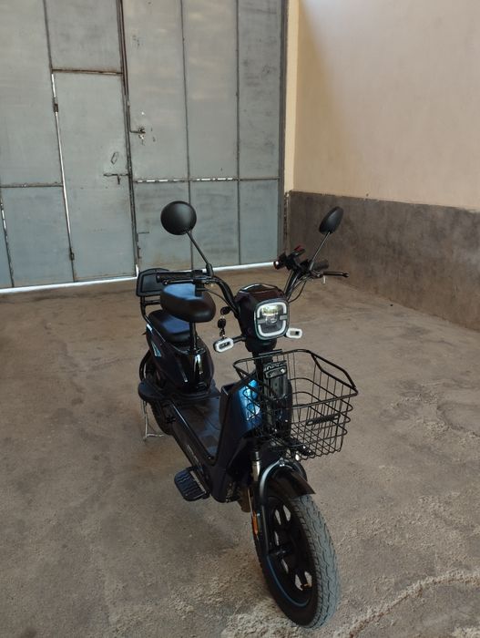 Scuter chontak 
Ranglar: 4 xi