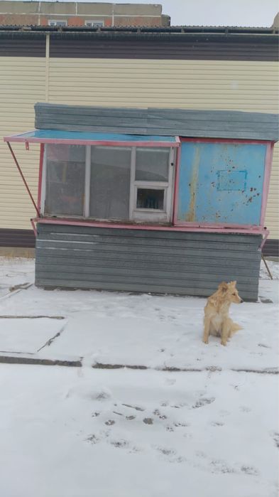 Продается киоск оборудованый