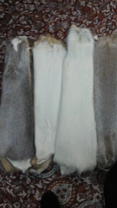 Blanuri Nutrie Diverse Culori