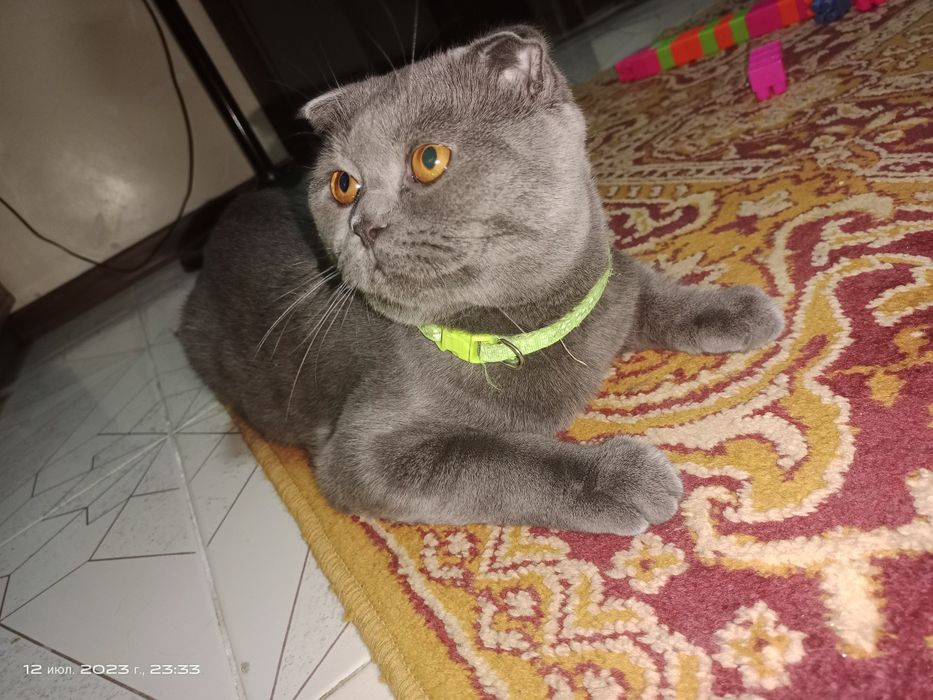 Приглашаем на вязку