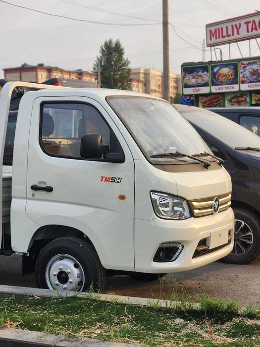 FOTON turck mate