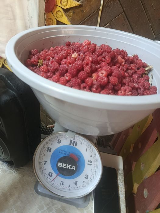 Малина на продажу