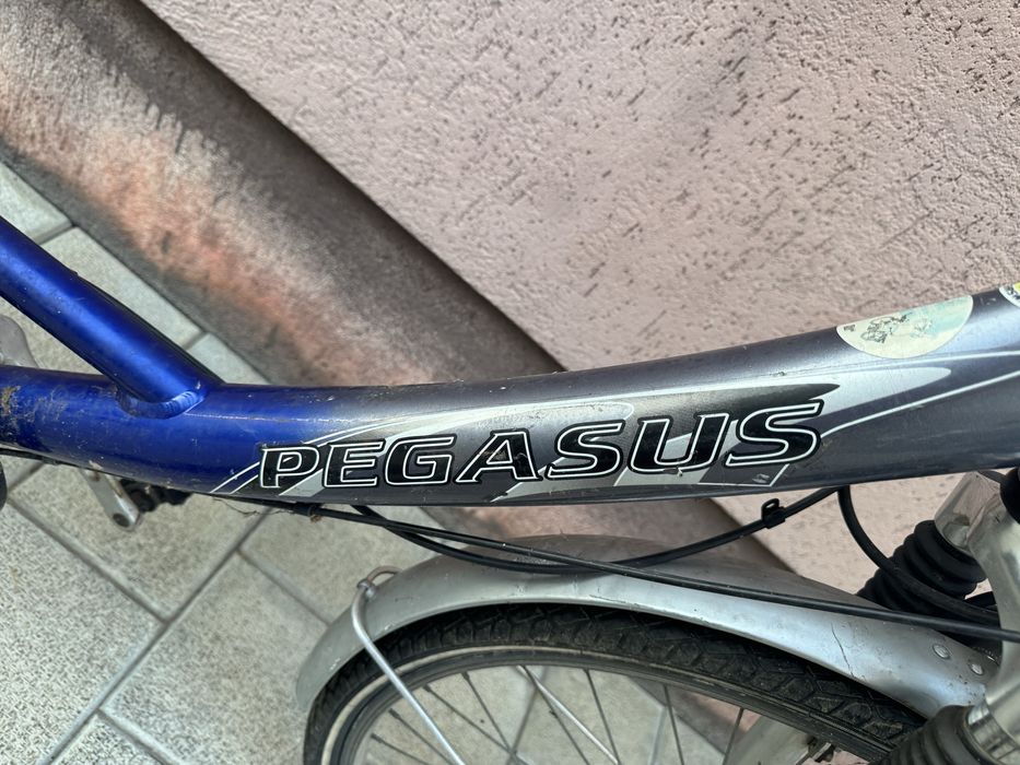 Bicicleta de dama