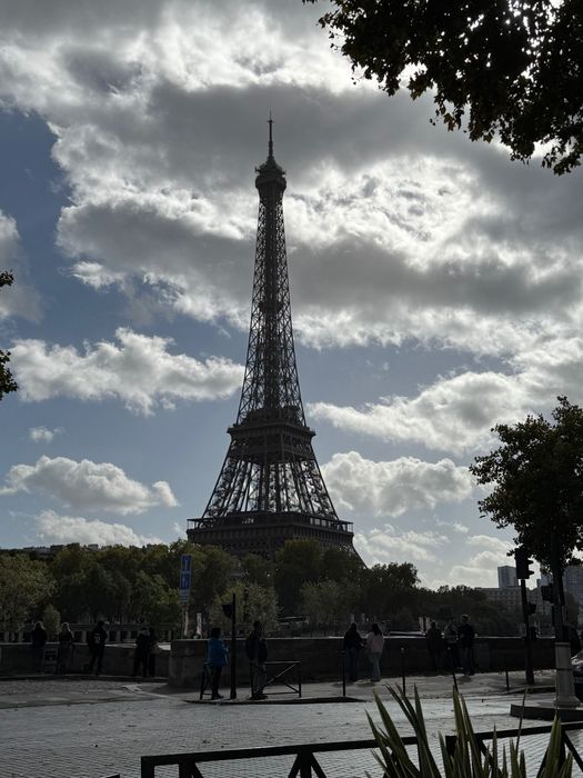 Репетитор по французскому языку!