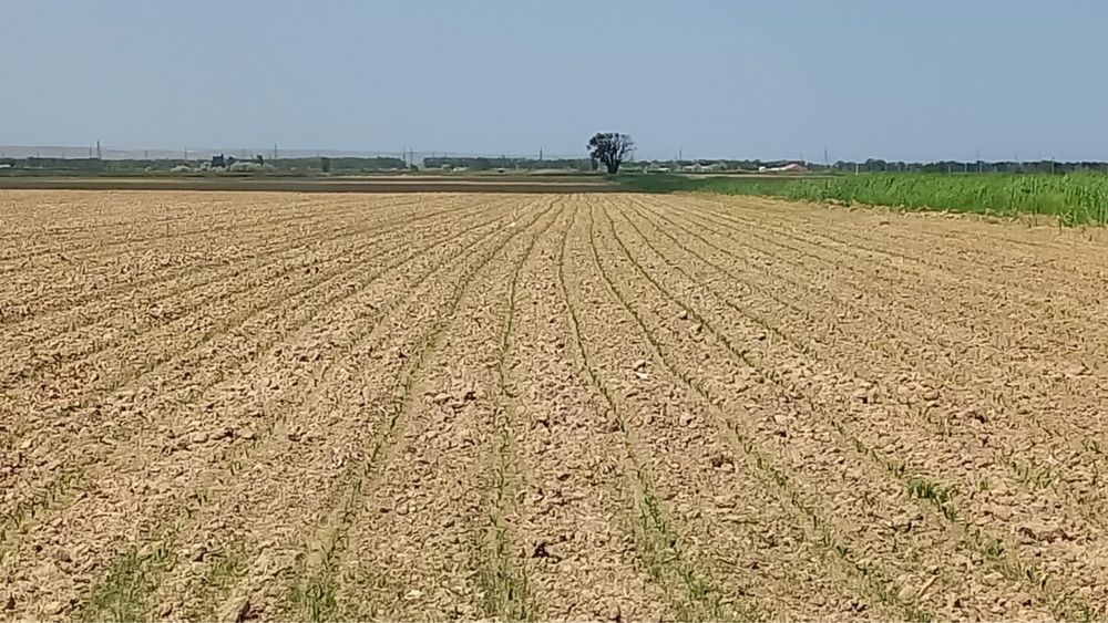 Продам земельный участок