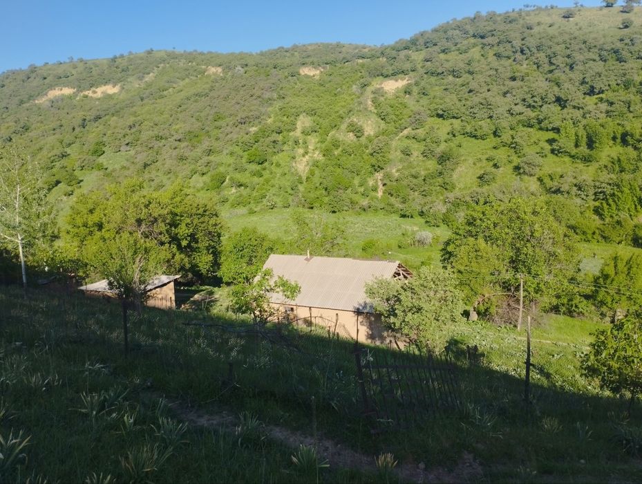 Участка для дачи