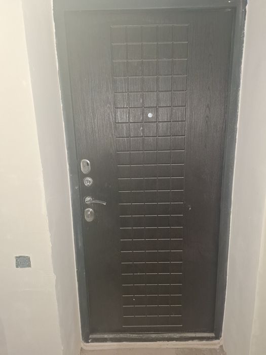 Дверь входная железная