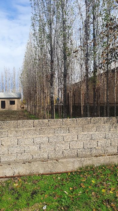 Участка сотилади 12сотих