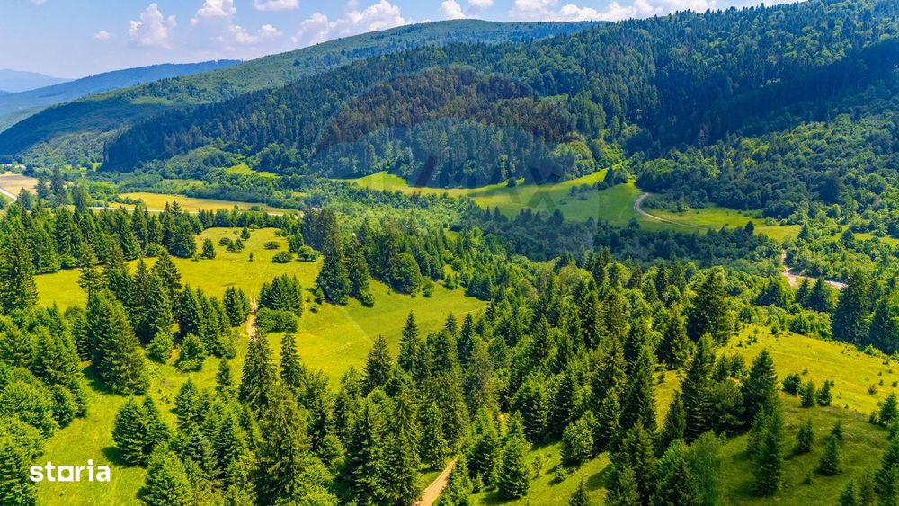 Natură— 18.900 mp în Săcele, cu râu și priveliște montană