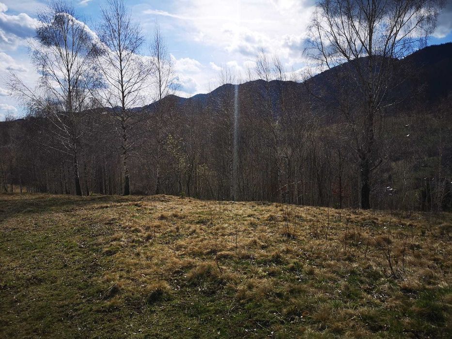 Teren intravilan cu PUZ sat Pestera - Moieciu - 4000 mp (apa, gaz, curent)