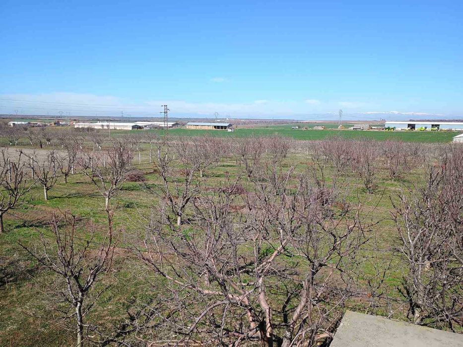 Продава се Земеделски имот в Пловдив, Тракия -  кв.м за 4450 €/дка - Снимка #1