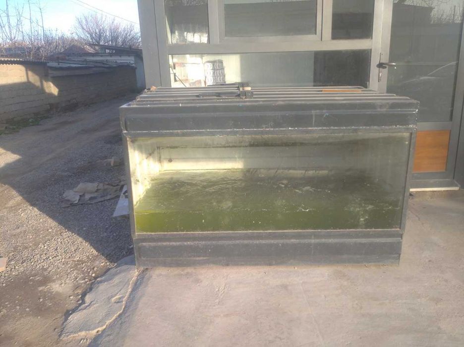 Аквариумы для торговли рыбой.