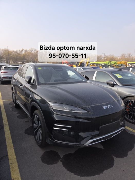 ** Byd chempion smart drive 2025