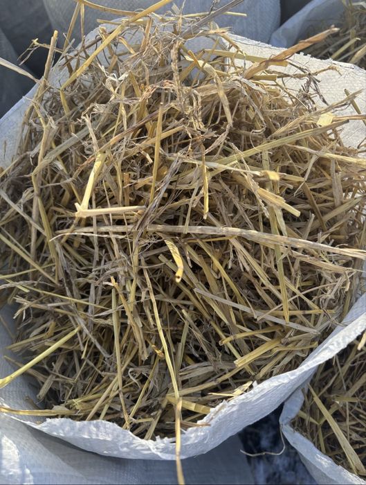 Солома для растений