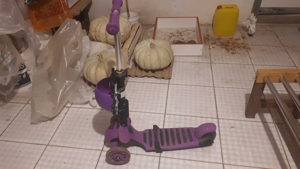 Самокат Божья коровка