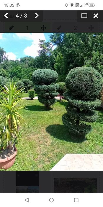 Косене на тревни площи в Бургас и региона  Рязане на дърва, цепене и прибиране, мулчиране на градини, рози и др