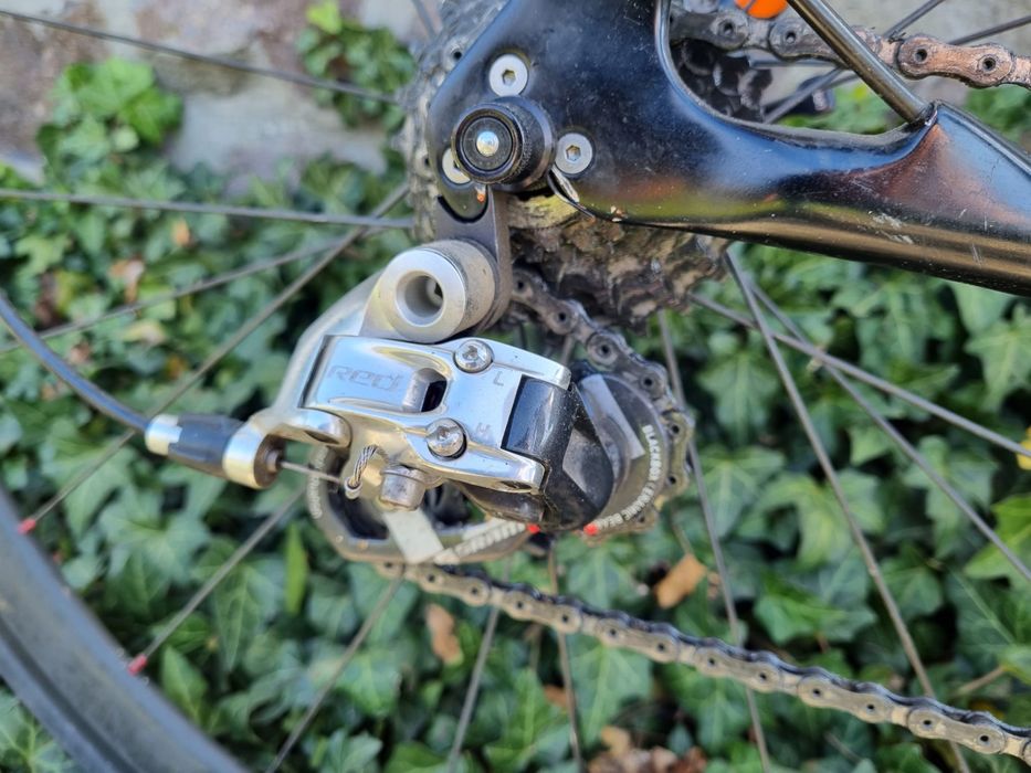 Cursiera carbon Switch