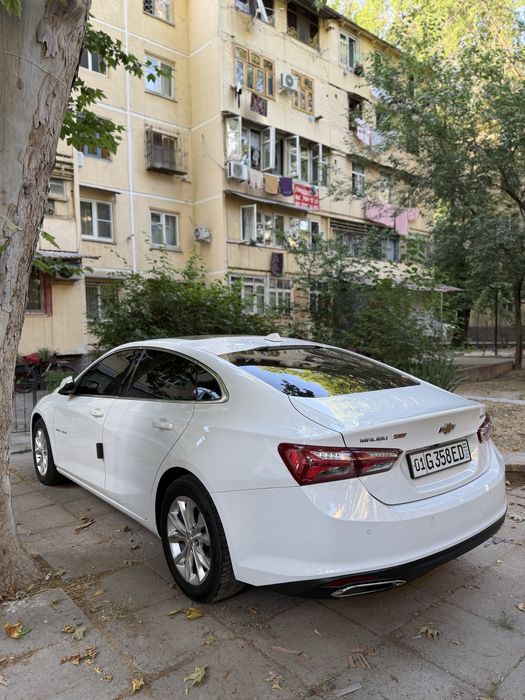 Malibu2 primer 2022