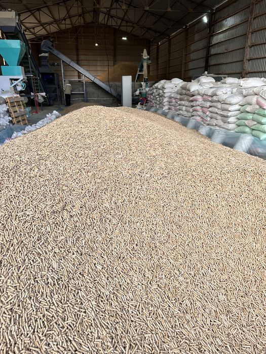 Пеллет ёқилғи пеллет, топливный пеллет