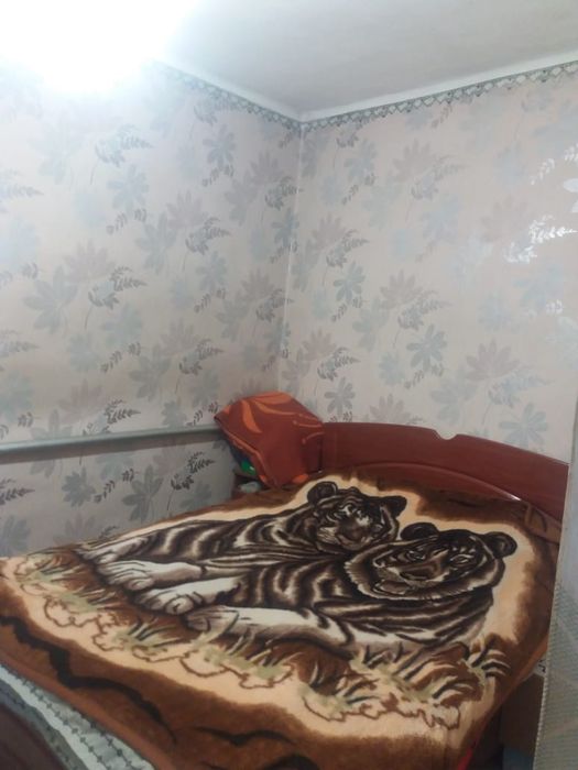 Продается дом с. Ростовка