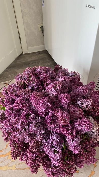 Букет цветы Сирен